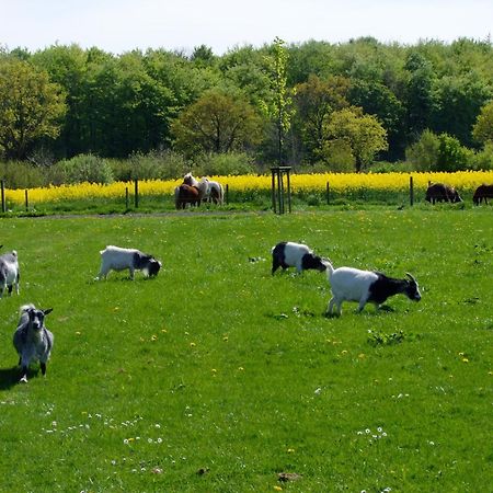 Ferienwohnungen Auf Dem Ferienhof Sell Stoltebüll Εξωτερικό φωτογραφία